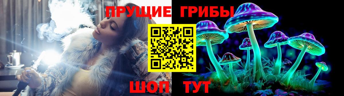 Галлюциногенные грибы Psilocybine cubensis Куйбышев